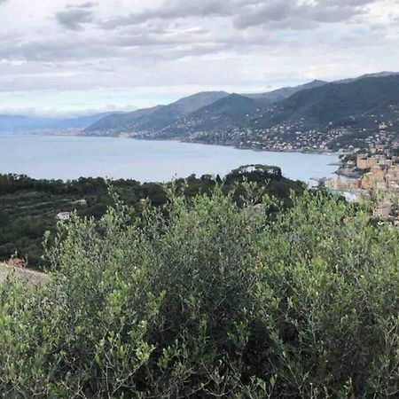Acqua Marina Appartement Camogli Buitenkant foto
